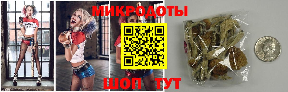 Галлюциногенные грибы прущие грибы  купить наркотики сайты  Псилоцибиновые грибы мицелий  Тихорецк  Вход с VPN 